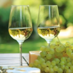 Beyaz Şaraplar - White Wines